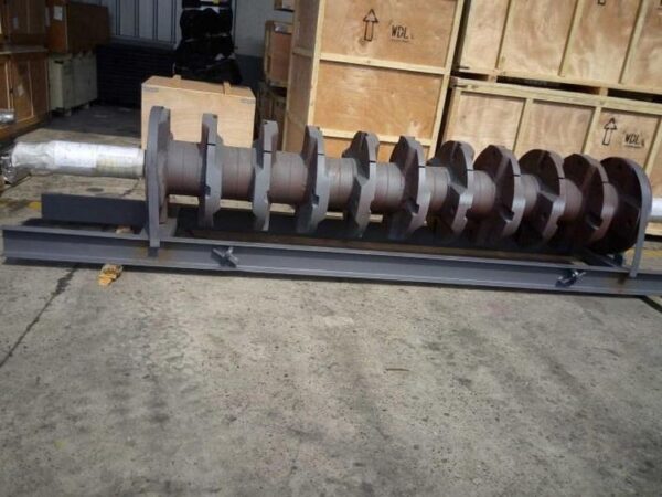 Rotor of Crusher